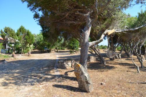 Casa Vacanze Cala Sapone