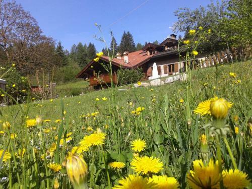 Bed & Breakfast Maso Pin