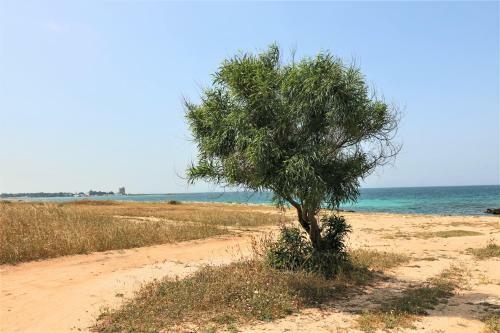 Casa Vacanza Biancospino Fronte Mare