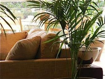 Hotel Cannes Villa St Barth