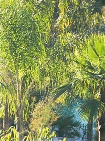Hotel Cannes Villa St Barth