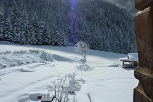 Aparthotel Residence Bannwald