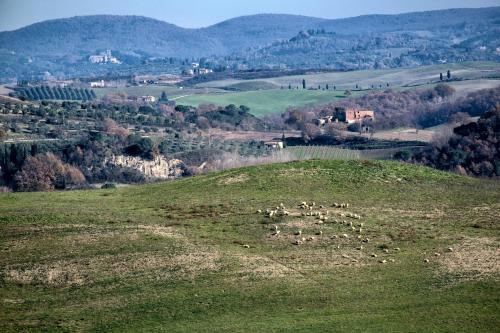 Agroturismo Podere Torricella