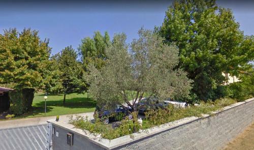 Hostal Il Giardino Dei Fiori
