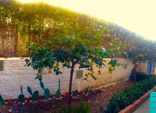 B&B Villa Maria Agrigento