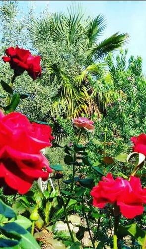 Apartamento Villa Solemare