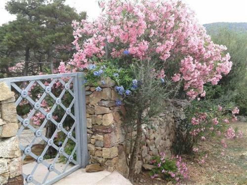 B&B Le Corti Di Aloa