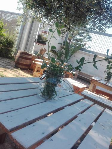 Sosta Camper La Specchia