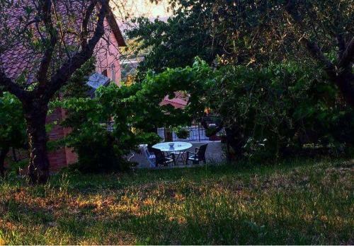 Bed & Breakfast Casa Mac & Rose .