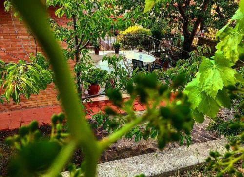 Bed & Breakfast Casa Mac & Rose .