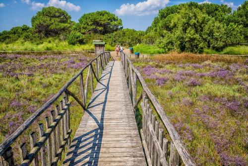 Apartment In Rosolina Mare 24927