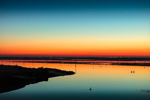 Apartment In Rosolina Mare 24927