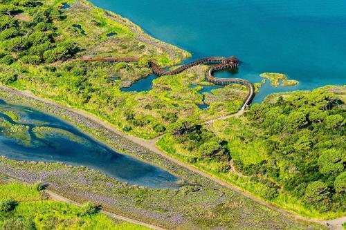 Apartment In Rosolina Mare 24920