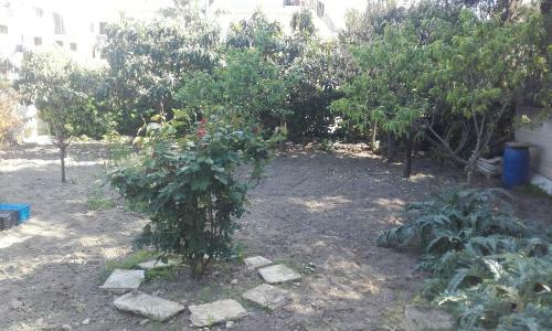 B&B La Palma