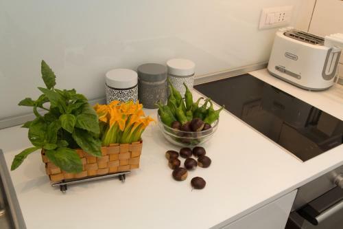 Salerno Prestige Apartment