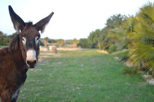 Agroturismo Dimore Del Valentino