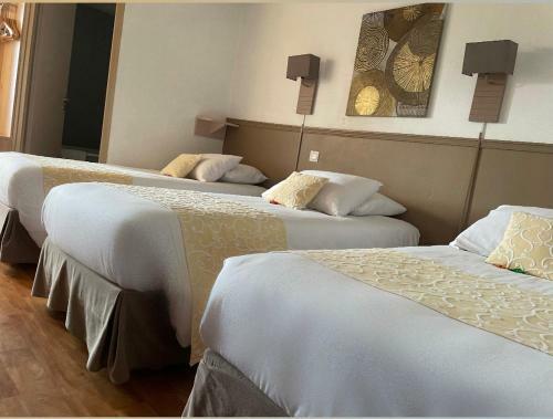 Hotel Cote-sud Leman