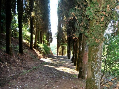 San Casciano Dei Bagni Villa Sleeps 4 Air Con Wifi
