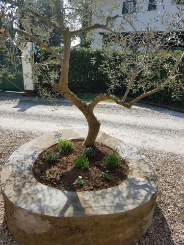 Apartamento Agriturismo Il Pintello