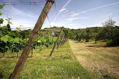 San Donato Villa Sleeps 7 Pool Wifi