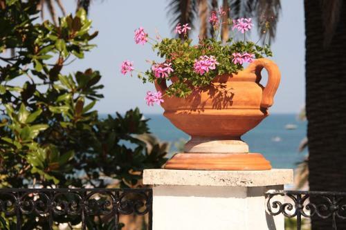 Bed & Breakfast Villa Argentina