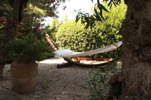Bed & Breakfast Villa Argentina
