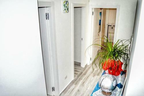 Hostal La Terrazza Sul Porto (salento)