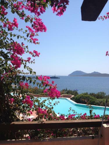 Apartamento Appartamento Punta Volpe