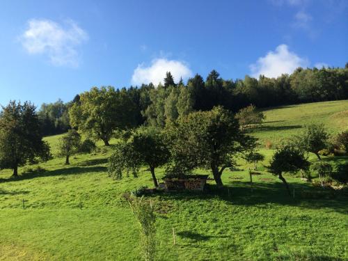 Le Floralp