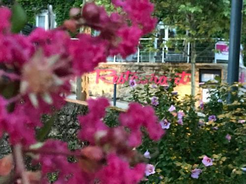 Hotel H�tel Du Ch�teau