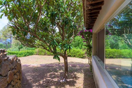Villa Podere I Cavalieri