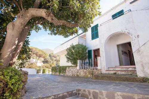 Apartamento App.ti Mare Al Viticcio