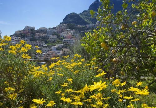 Positano Apartment Sleeps 3 T721473
