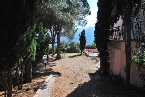 Villa Cicala