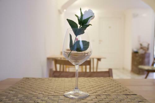Hostal Il Borghetto Apartments & Rooms