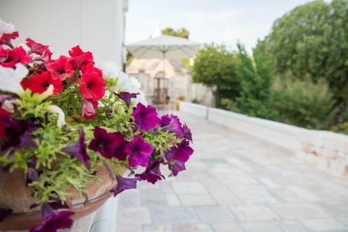 Bed & Breakfast Giardino Segreto