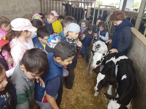 Agroturismo Agriturismo La Conea