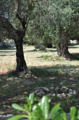 Agroturismo Masseria Costanza