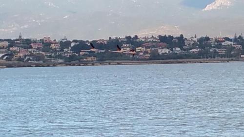 Hostal Tah Marconi