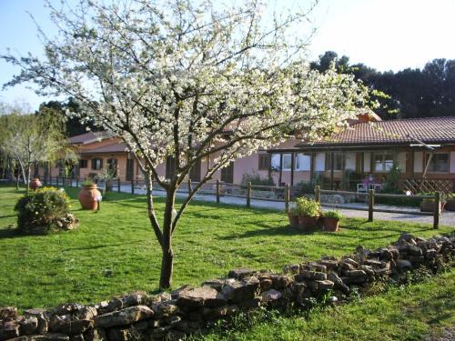 Apartamentos Locazione Turistica Viola