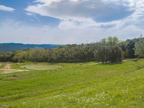 Apartamentos Locazione Turistica Viola