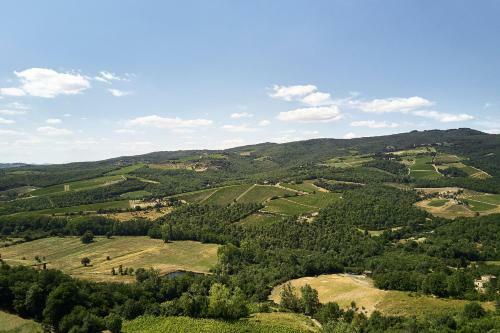 Villa Il Mercatale Di Radda