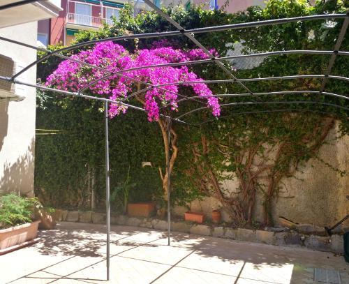 Bouganville Apartment