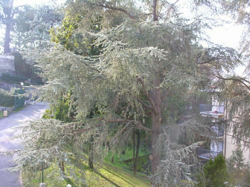 Apartamento Relax E Comfort Rapallo