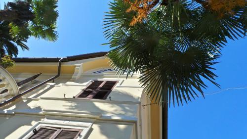 Apartamento Magnolia