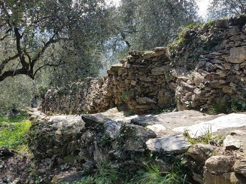 Villa La Panoramica