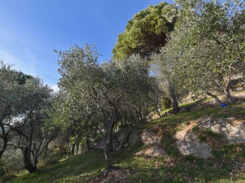 Villa La Panoramica