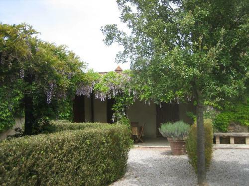 Apartamento Agriturismo Il Chiassale