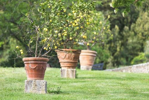 Rapolano Terme Villa Sleeps 4 Pool Air Con