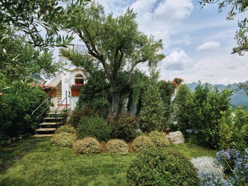 Hostal Belmond Villa Margherita